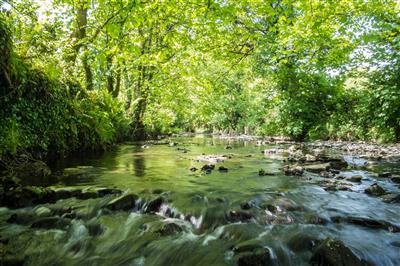 River Morlais